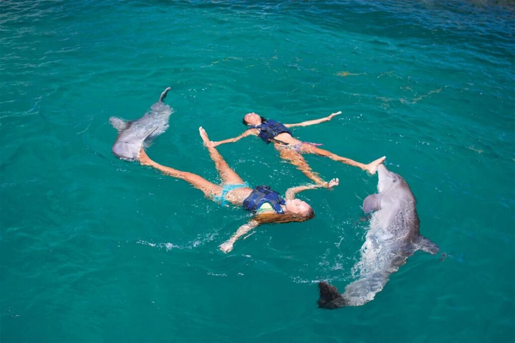 Dos nadadores remolcados por delfines en mar turquesa durante una experiencia de nado