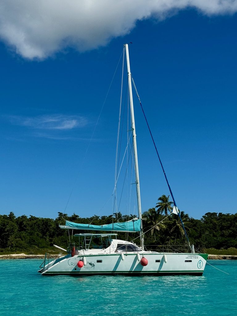 Playa de Isla Saona con agua turquesa, República Dominicana
