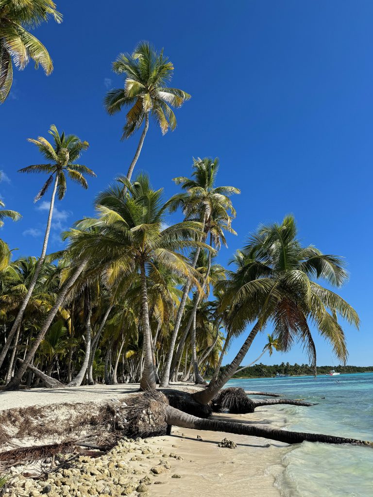Arena blanca y mar cristalino en Isla Saona
