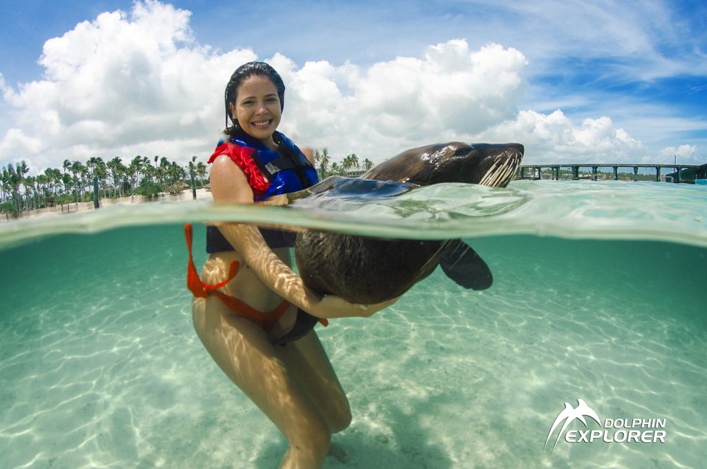 Mujer sonriente sosteniendo un león marino en agua turquesa poco profunda
