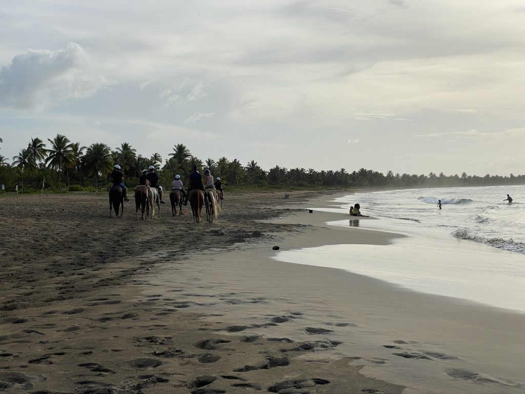 Grupo de jinetes paseando a caballo por una playa tropical de arena junto al mar