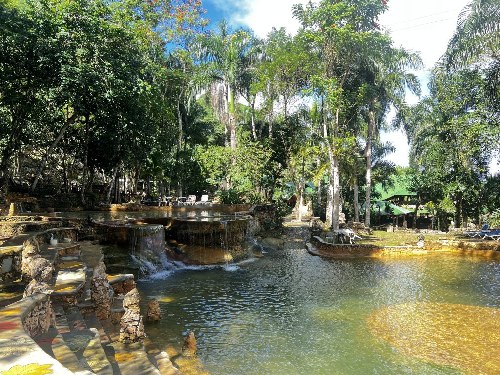 Piscina natural tropical con pequeñas cascadas y palmeras en un jardín frondoso