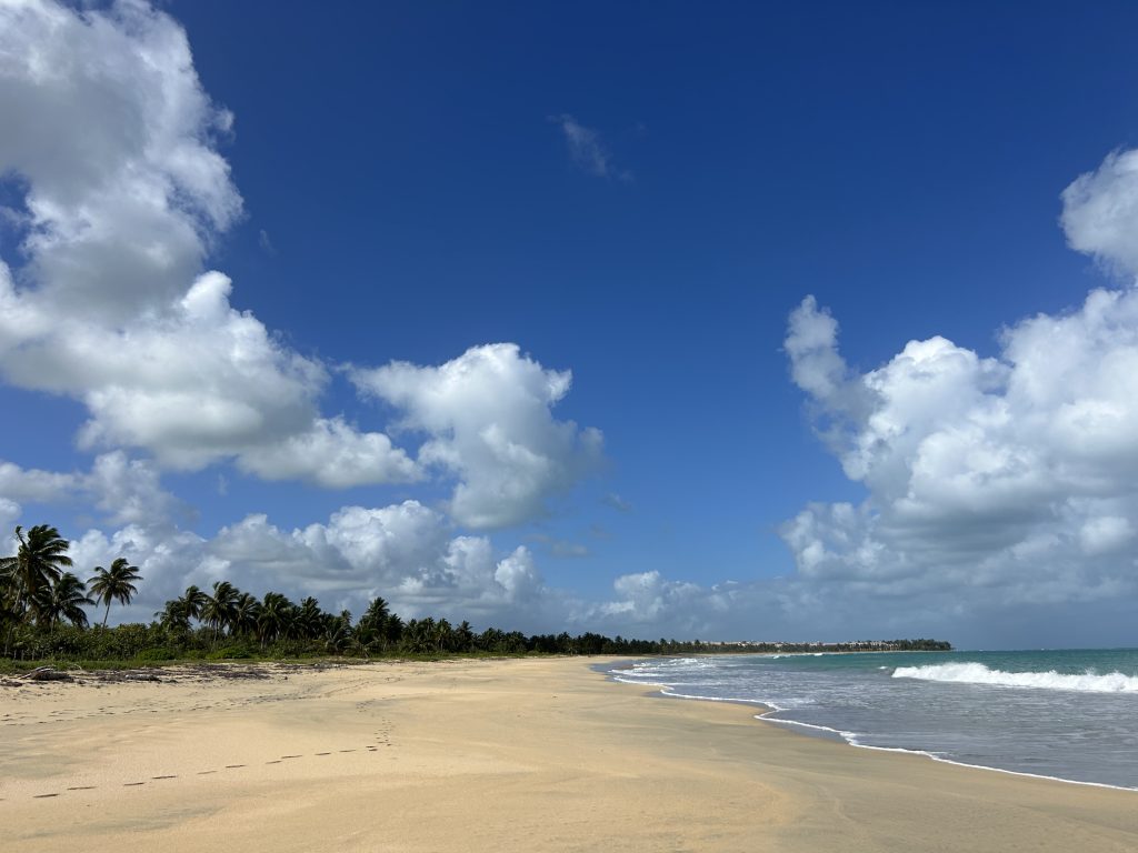 Playa tropical vacía con palmeras, cielo azul y olas suaves