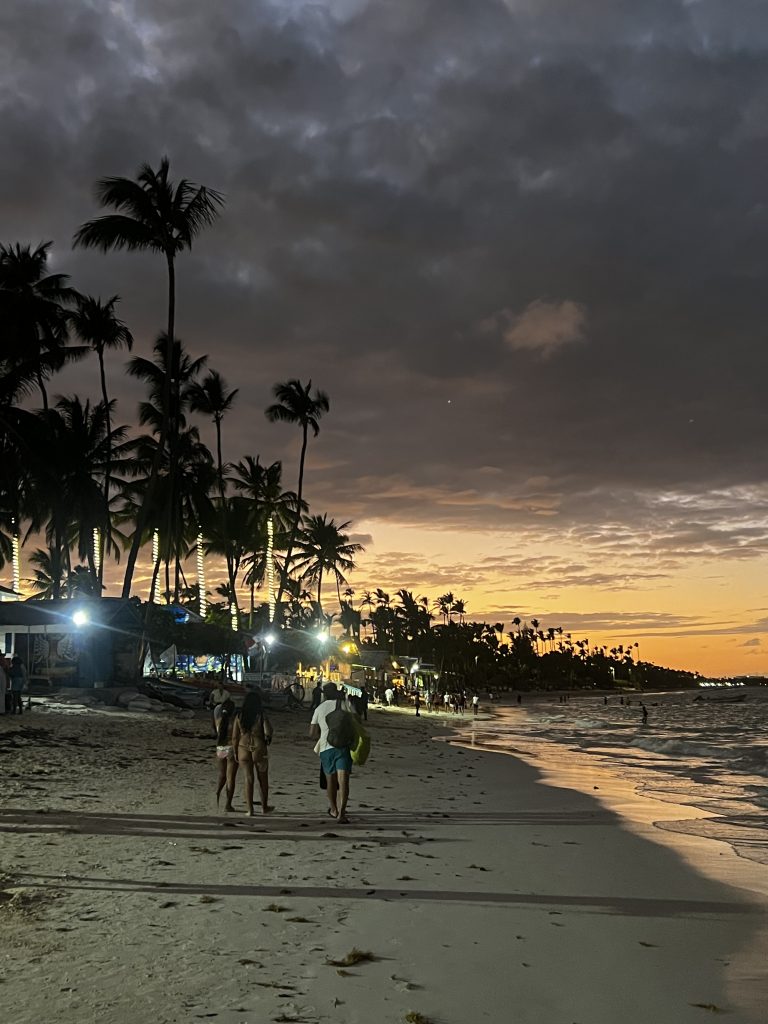 Palmeras en silueta al atardecer en una playa de Punta Cana