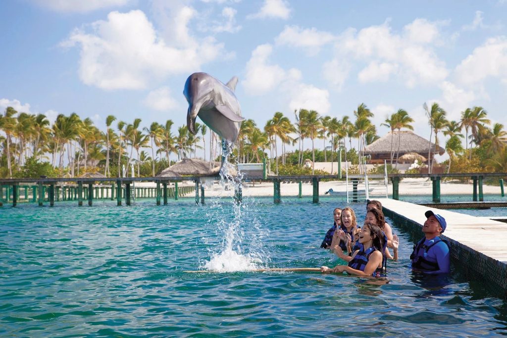 Grupo de personas con un delfín en un tour Dolphin Explorer en Punta Cana