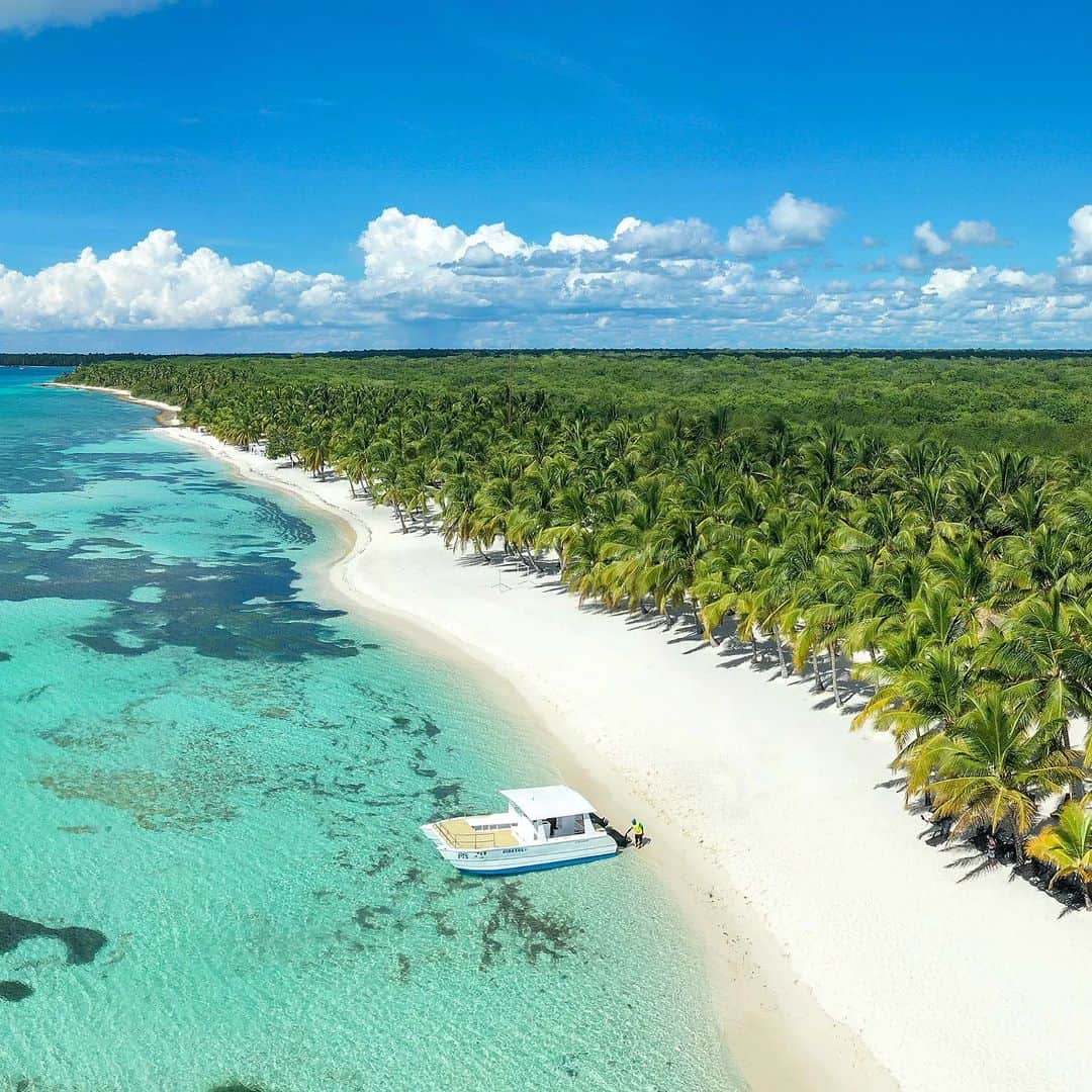 Vista aérea de la playa de arena blanca de Isla Saona con palmeras y agua turquesa