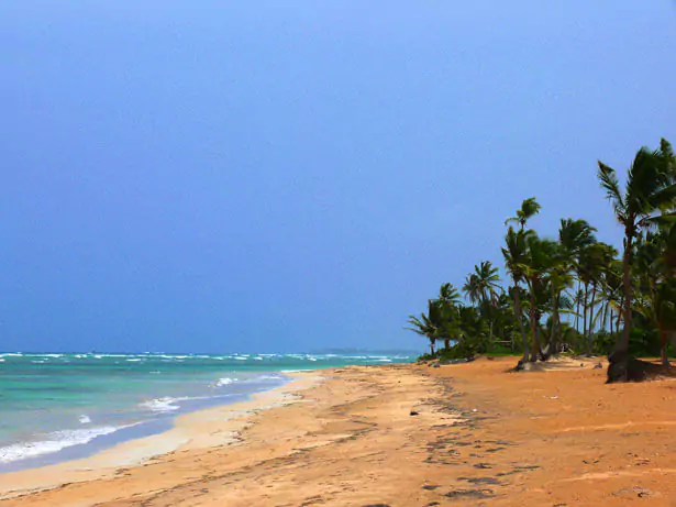 Playa Macao y Uvero Alto, Punta Cana, República Dominicana
